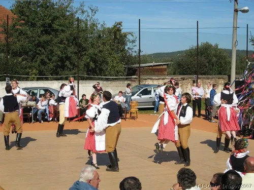 Krojované hody 2008 – fotografie 4