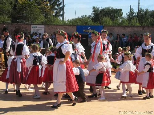 Krojované hody 2008 – fotografie 10