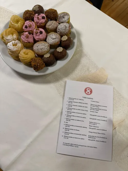 II. ročník Sokol GALA – fotografie 7