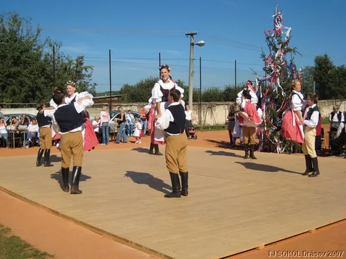 Krojované hody 2008 – fotografie 5