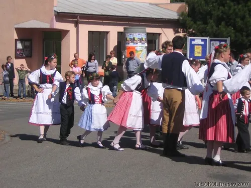 Krojované hody 2008 – fotografie 22