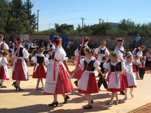 Krojované hody 2008 – fotografie 9