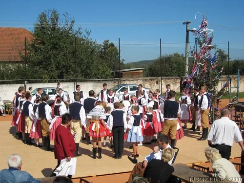 Krojované hody 2008 – fotografie 14