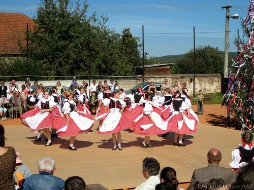 Krojované hody 2008 – fotografie 8