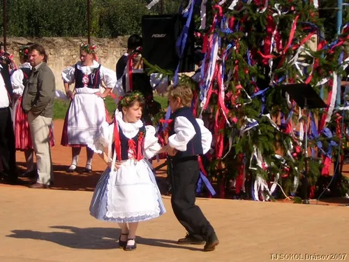 Krojované hody 2008 – fotografie 19