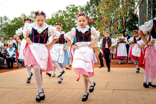 Krojované hody 2026 – fotografie 176